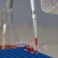 artificial insemination