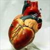 Heart disease