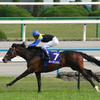 Makoto Kaneko
