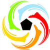 African Football Union