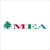 Middle East Airlines