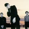 Pulp