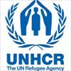 United Nations High Commissioner for Refugees