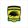 Asante Kotoko