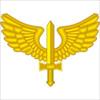 Brazilian Air Force