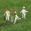 Shahid Afridi