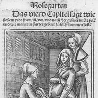 Midwifery Council