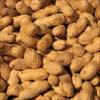 Peanut allergy