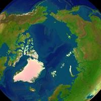 Arctic Sea