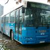 Ikarbus