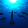 The Cove