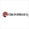 Grupo México