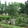 Brooklyn Botanic Garden