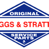 Briggs &amp; Stratton
