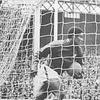 Eusébio