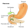 Pancreatic cancer