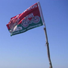 Samajwadi Party