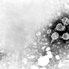 Hepatitis B