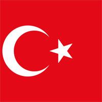 Turkish government