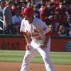 David Freese