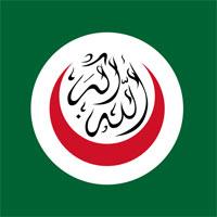 OIC Chief Meets Benin President