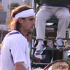 David Ferrer