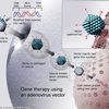 Gene therapy