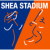Shea Stadium