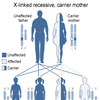 Haemophilia