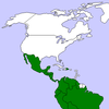 Rio Group