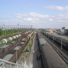 Surgut