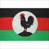 Malawi Congress Party