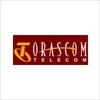 Orascom Telecom Holding
