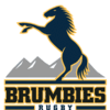 Brumbies