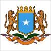 Somali government